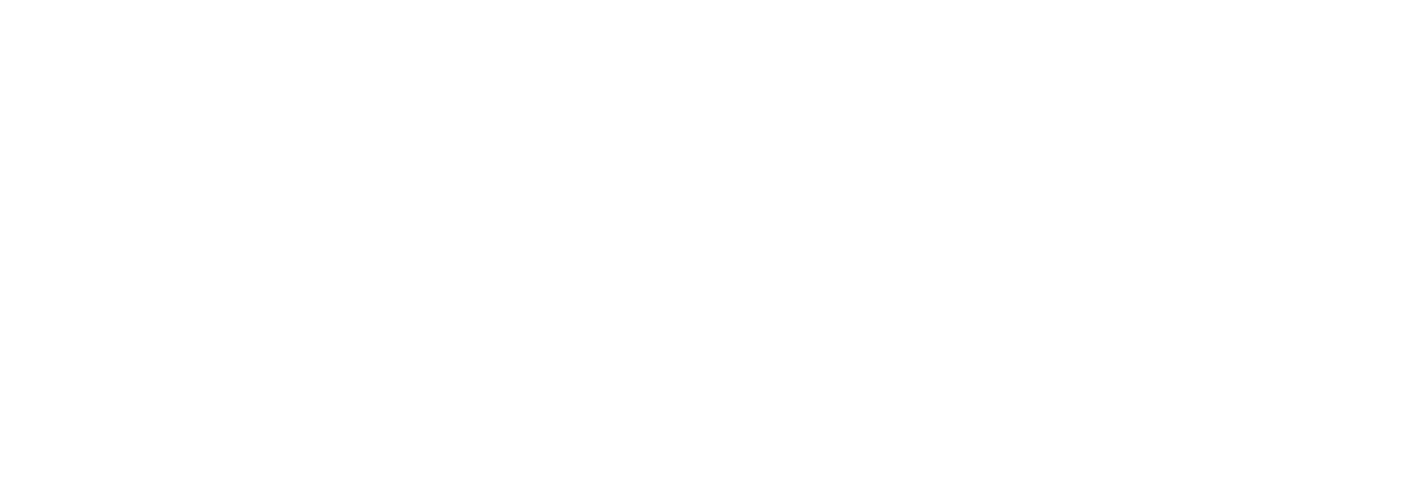 Fortify Security